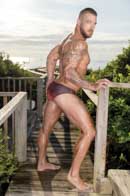 Raging Stallion Picture 1