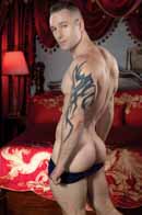 Raging Stallion Picture 2