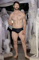 Raging Stallion Picture 1
