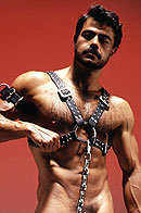 COLT Studio Group Picture 15
